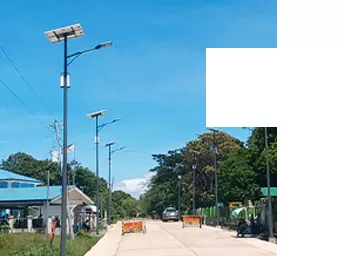 ฟาร์มและฟาร์มปศุสัตว์